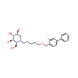 OC[C@H]1[C@@H](O)[C@H](O)[C@@H](O)CN1CCCCCOCc1ccc(-c2ccccc2)cc1F ZINC000299824849
