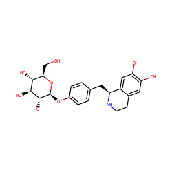 OC[C@H]1O[C@@H](Oc2ccc(C[C@@H]3NCCc4cc(O)c(O)cc43)cc2)[C@H](O)[C@@H](O)[C@@H]1O ZINC000013910647