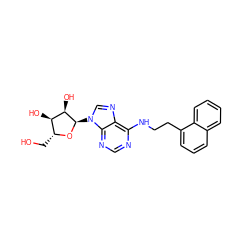 OC[C@H]1O[C@H](n2cnc3c(NCCc4cccc5ccccc45)ncnc32)[C@H](O)[C@@H]1O ZINC000049053125