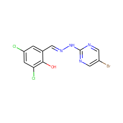 Oc1c(Cl)cc(Cl)cc1/C=N/Nc1ncc(Br)cn1 ZINC000004595567