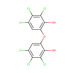 Oc1c(Oc2cc(Cl)c(Cl)c(Cl)c2O)cc(Cl)c(Cl)c1Cl ZINC000013529721