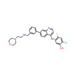 Oc1cc(Nc2ccnc3cc(-c4cccc(CNCCN5CCOCC5)c4)ccc23)c(F)cc1Cl ZINC000028823951