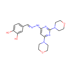 Oc1ccc(/C=N/Nc2cc(N3CCOCC3)nc(N3CCOCC3)n2)cc1O ZINC000004679012