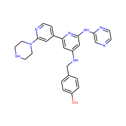 Oc1ccc(CNc2cc(Nc3cnccn3)nc(-c3ccnc(N4CCNCC4)c3)c2)cc1 ZINC000084704961