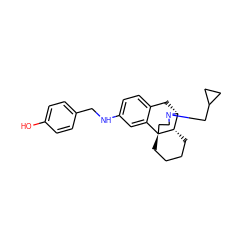 Oc1ccc(CNc2ccc3c(c2)[C@@]24CCCC[C@H]2[C@@H](C3)N(CC2CC2)CC4)cc1 ZINC000084758792