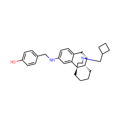 Oc1ccc(CNc2ccc3c(c2)[C@@]24CCCC[C@H]2[C@@H](C3)N(CC2CCC2)CC4)cc1 ZINC000084654956