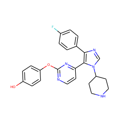 Oc1ccc(Oc2nccc(-c3c(-c4ccc(F)cc4)ncn3C3CCNCC3)n2)cc1 ZINC000001487008