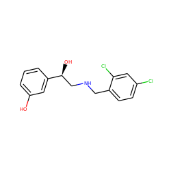 Oc1cccc([C@@H](O)CNCc2ccc(Cl)cc2Cl)c1 ZINC000019871704