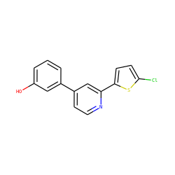 Oc1cccc(-c2ccnc(-c3ccc(Cl)s3)c2)c1 ZINC000049784786