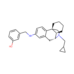 Oc1cccc(CNc2ccc3c(c2)C[C@@H]2[C@@H]4CCCC[C@]34CCN2CC2CC2)c1 ZINC000084759195