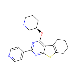 c1cc(-c2nc(O[C@@H]3CCCNC3)c3c4c(sc3n2)CCCC4)ccn1 ZINC000223661645