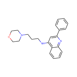 c1ccc(-c2cc(NCCCN3CCOCC3)c3ccccc3n2)cc1 ZINC000208043203