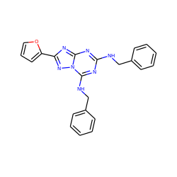 c1ccc(CNc2nc(NCc3ccccc3)n3nc(-c4ccco4)nc3n2)cc1 ZINC000653773270