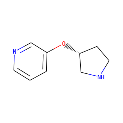 c1cncc(O[C@@H]2CCNC2)c1 ZINC000004638275