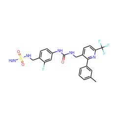 Cc1cccc(-c2nc(C(F)(F)F)ccc2CNC(=O)Nc2ccc(CNS(N)(=O)=O)c(F)c2)c1 ZINC000169711884