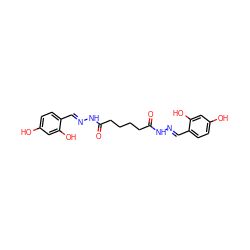 O=C(CCCCC(=O)N/N=C/c1ccc(O)cc1O)N/N=C/c1ccc(O)cc1O ZINC000001878834